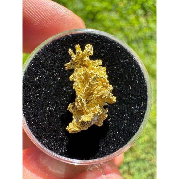 California Gold Crystal - 1.74 grams - Picture 10 of 11